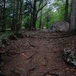 三浦恵子出轨情人 012h21