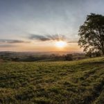 与岳全集 075w66me