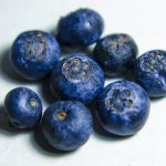 三级视频免费观看不卡在线观看 1w1gc5