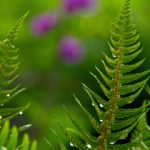 三级视频免费在线播放 4a61w8