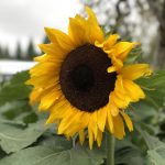 三级片免费视频 57pyqa1c