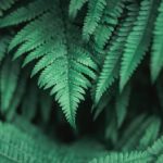 真人示范45种啪啪姿势 7wfclbu