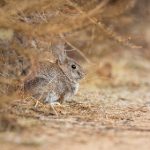 三级免费黄 8p1qposy18