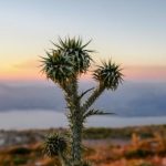 三级片免费电影 b4v386t9m8