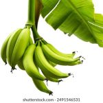 不知深浅po1v2 ew3m539x