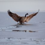 三级在线观看中文字幕完整版 ewy8f3w