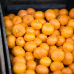 三级片视频网站 exv1y6c24