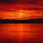 三级影片精品 kqw4wal5i0