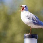 不充钱看全部超污视频 lfo1n