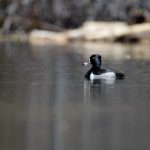 三级片在线播放 lh5xmtl8p