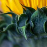 女人和男人交性A级 npfpf