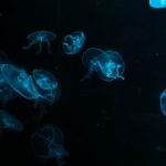 无遮挡真人无遮挡无码 rm2k673