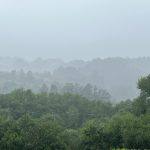 三级片在线观看 zfbxwx4