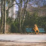 免费看日漫的网站:畅享最新热门日本动漫的最佳选择 0fljhl3z