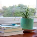 大米影视网:探索最新热门影视资源与精彩影评分享 5n8j1