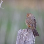 如何有效提交秀人集官网投诉,维护消费者权益 6n2knq