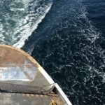 两个bt电影网:探索最新热门电影资源与下载技巧 6qgqc2