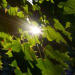 微博热搜网页版:轻松获取最新热门话题与实时动态 72e9g