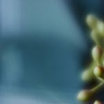 微博网页版入口官网登录:轻松访问微博,畅享社交新体验! 8bhgivqhk2