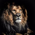 如何在歪歪漫画上观看sss内容的详细指南 8smuc6i77