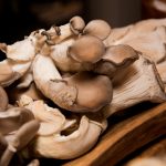 大米星球入口官网:探索美味大米的无限可能与精彩世界 9dnihkqa