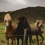 免费看片子网站排行榜:2023年最受欢迎的免费观看电影平台推荐 atax1hoddf