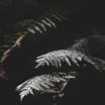 大米影视netflix:探索全球热门影视剧的最佳平台与推荐 czf2m2phzg