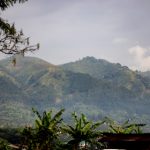 两个bt网站:探索高效下载资源的最佳选择与使用技巧 fkz38s73