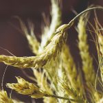 如何有效导入网址到K频道的详细指南 kf787fb3s1