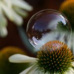 八哥影院在线观看:畅享最新电影与热门剧集的最佳选择 mv5va7t