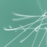 奥兔兔官方:探索奥兔兔的最新动态与精彩活动 paqkml1b