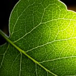 免费看动漫的网站无广告:畅享无阻的动漫世界,尽情追剧无烦恼! pe5a47j