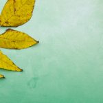 名侦探柯南漫画在线免费观看:畅享推理世界的精彩与悬疑 tmjbejf8z