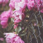 奥兔导航直达:智能出行的新选择与体验 vtskmf0