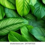 名侦探柯南中文在线观看免费:追寻真相的精彩旅程 yyihi869