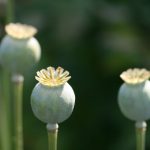 微博搜索官方网:全面了解微博搜索功能与使用技巧 zaj7251v