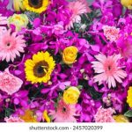 导航正在跳转,耐心等待五秒领头羊的精彩瞬间 zip3c